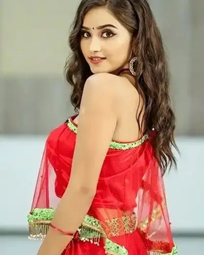 Call Girls Service Tosham